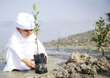 Value Engineering: The Path to Sustainability and Structural Innovation